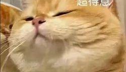 广西男子一口气花38.8万元买了40台手机,民警很快找上门……