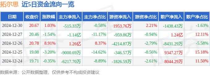 股票行情快报：拓尔思（300229）12月30日主力资金净卖出515.33万元