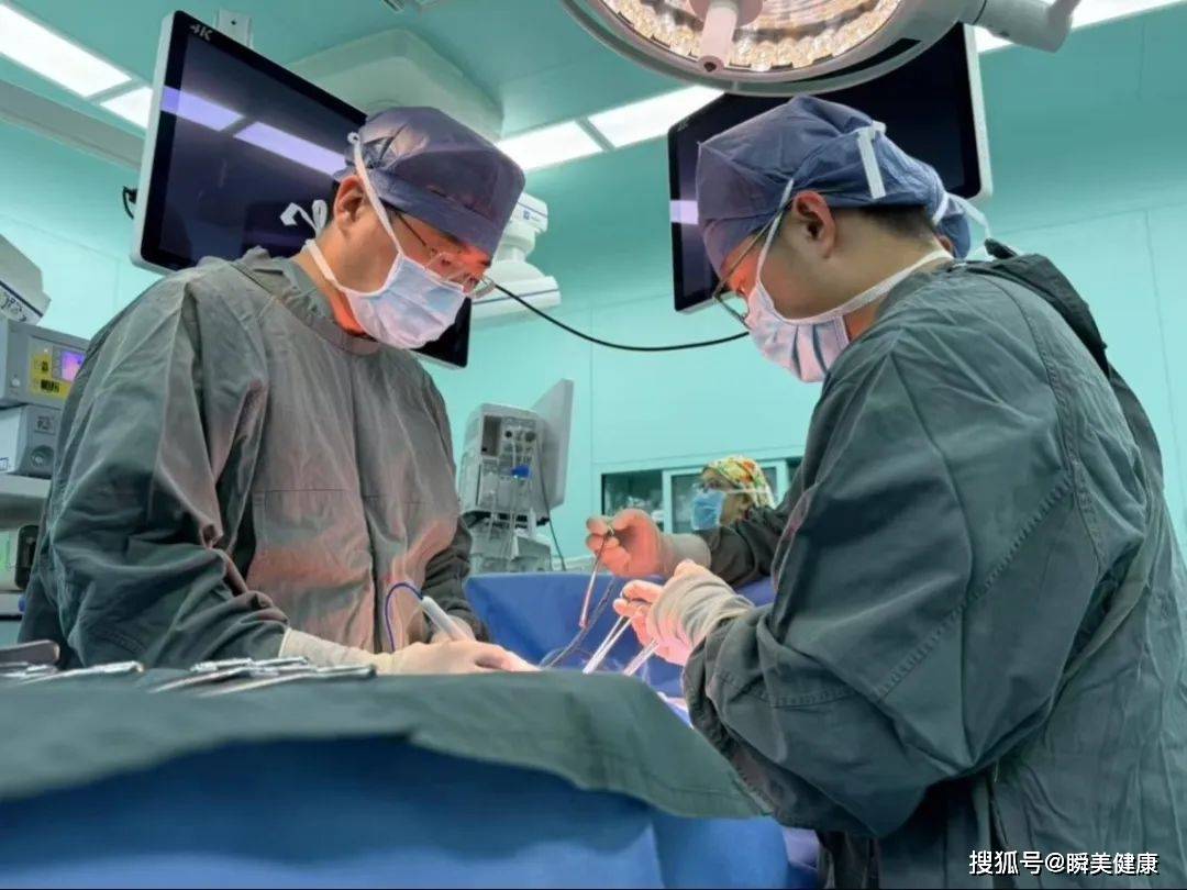 行业资讯｜细胞行业一周资讯（2025.07.28-2025.08.03）