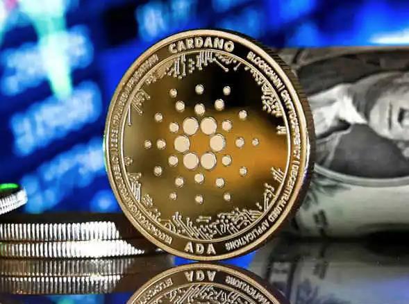 优优交易所(优优市场uu市场uu市场) 优优交易所(优优市场uu市场uu市场)