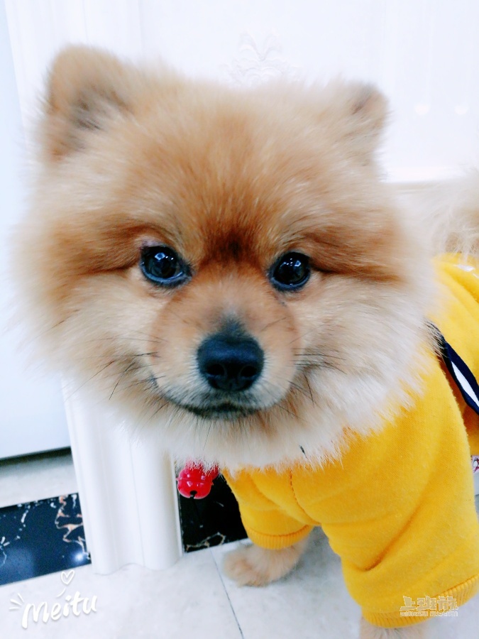 币森交易所(币交易所app官网下载)