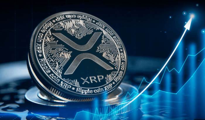 关于XRP-瑞波币交易平台的信息